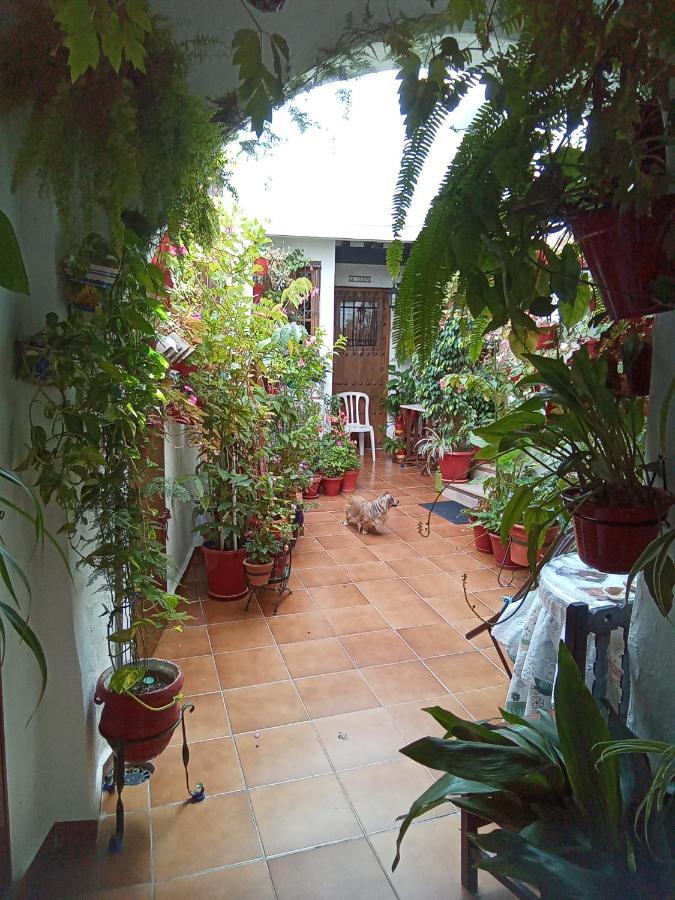 Arco De La Cobijada Lejlighed Vejer de la Frontera Eksteriør billede